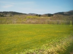PAP_0091.JPG