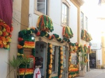 p07.JPG