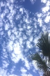 sky01.jpg
